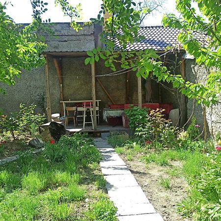 Дом У Моря С Бассейном И Сауной Odessa Exterior foto